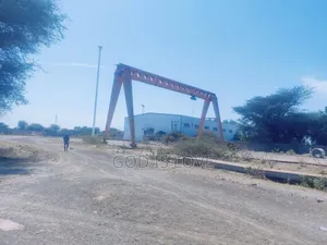 Photo - የሚሸጡ ክሬኖች Cran Overhead