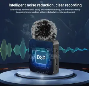 Wireless Microphone (Dual Clear and Clean Audio)