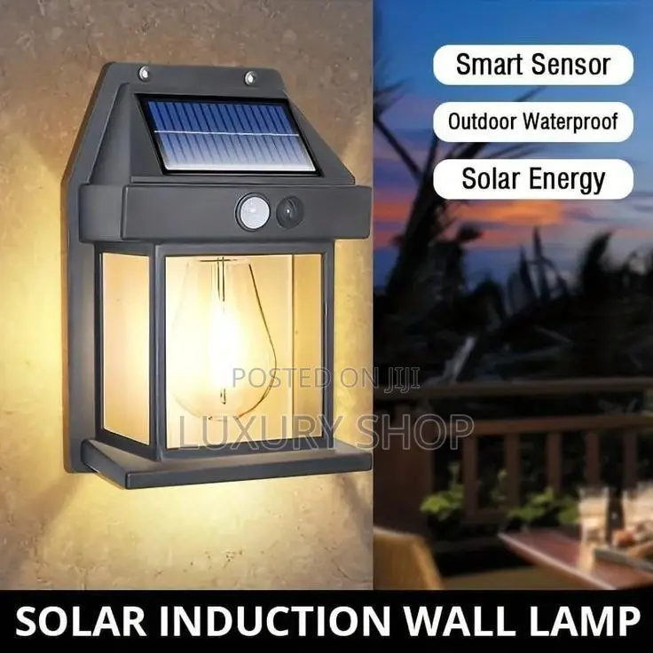 Solar Induction Wall Lamp