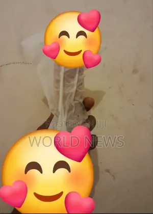 Photo - Quite Good Dildo for Women