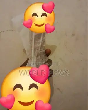 Photo - Classic Dildo for Pretty Women