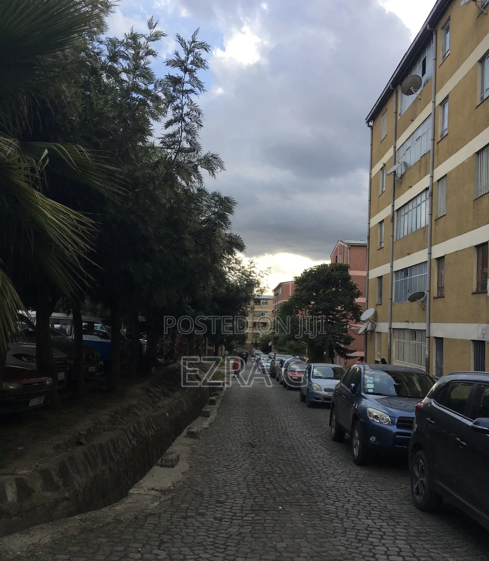 1bdrm Condo in Yeka Site 2 Balderas for sale