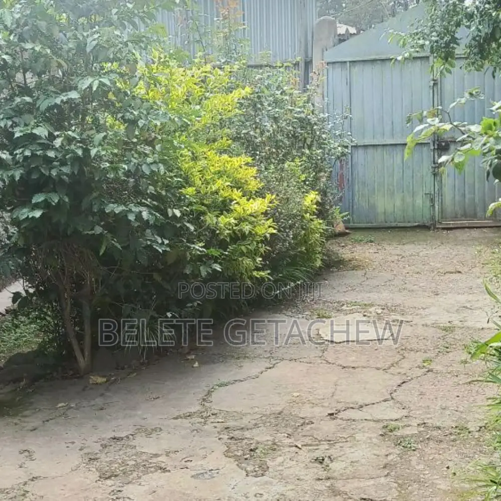 ልደታ ። አስቸካይ የሚሸጥ ቦታ። 215 ካ.ሜ