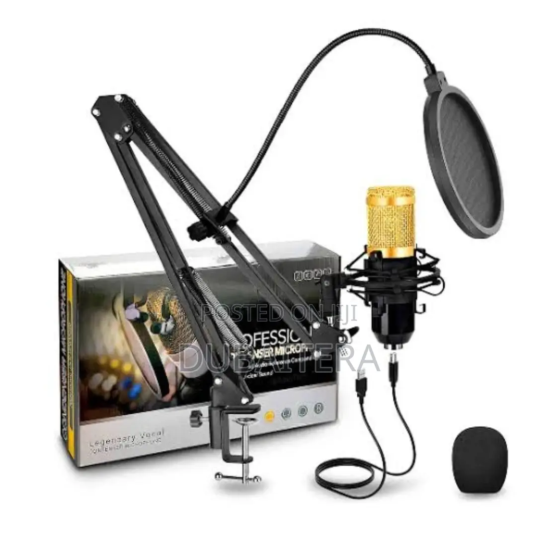 Original Legendary Vocal Condenser Microphone(V8 Sound Card)