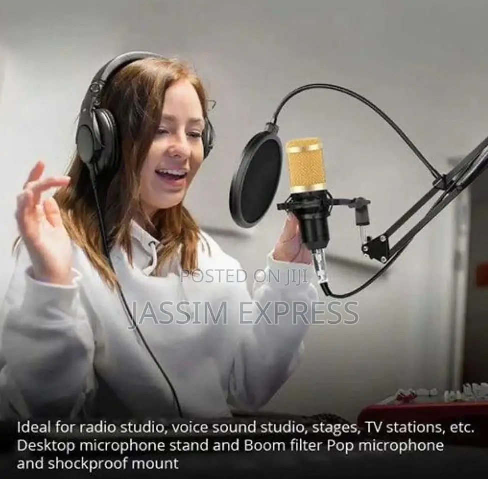 Professional Upgraded Legendary Vocal Condenser Microphone