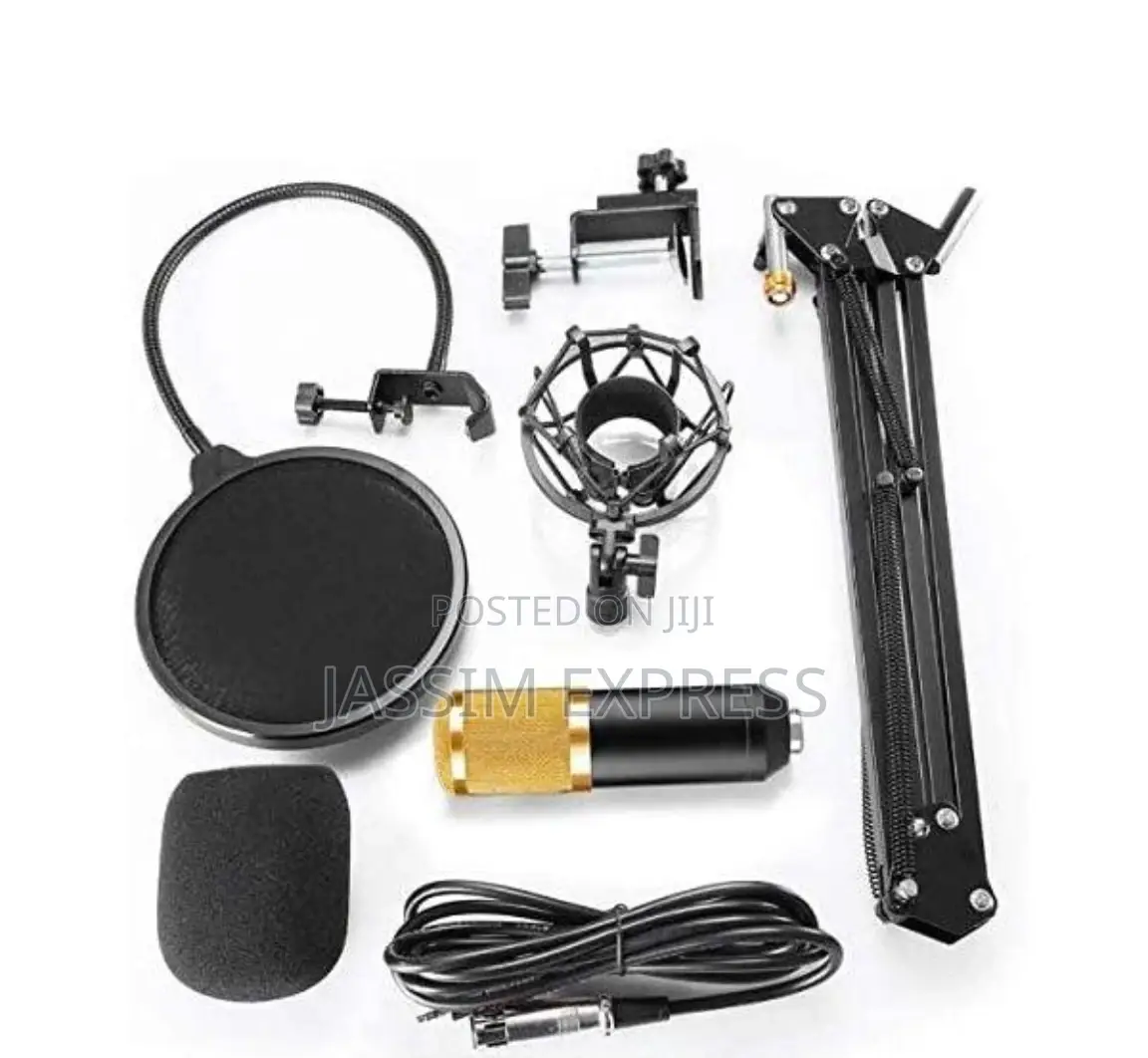 Professional Upgraded Legendary Vocal Condenser Microphone