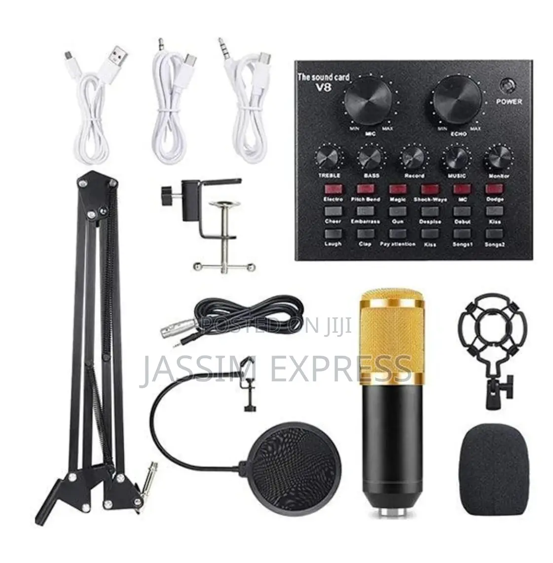 Professional Upgraded Legendary Vocal Condenser Microphone