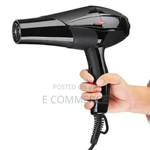 PROMAX Professional Hair Dryer