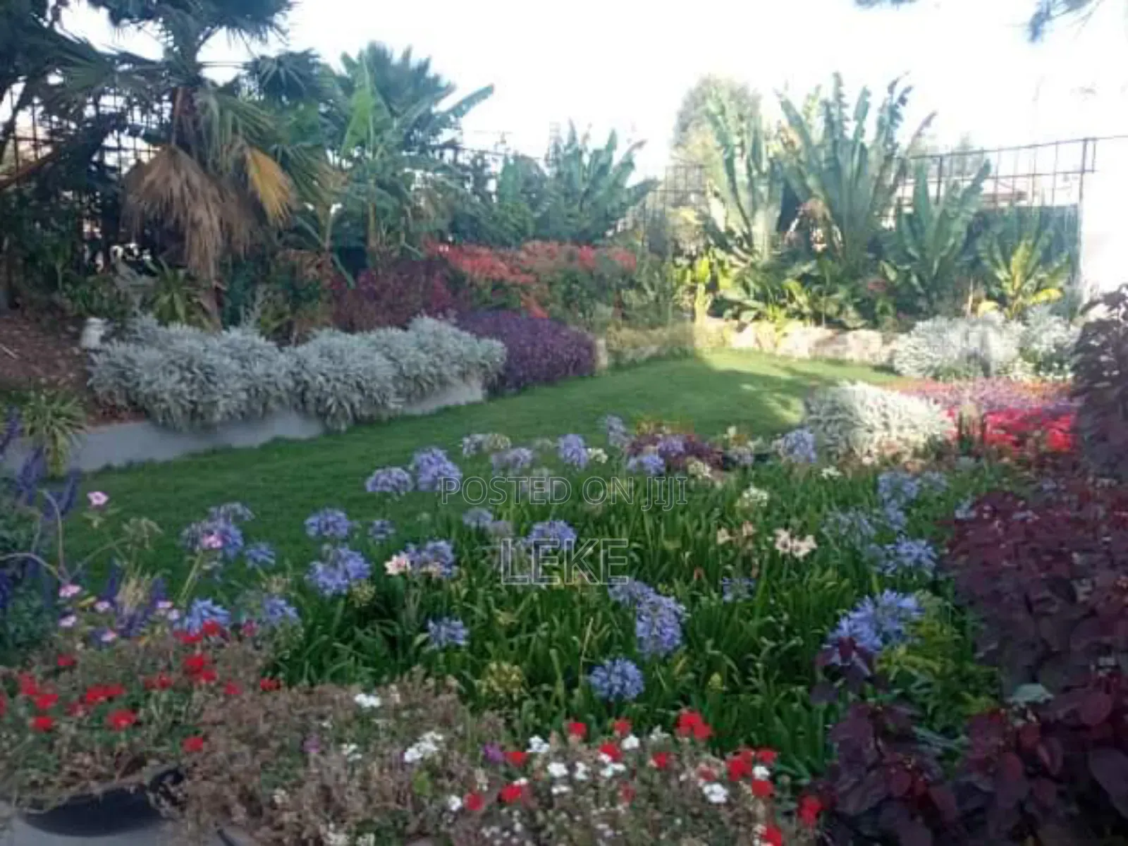 Furnished 2bdrm Apartment in Bole for rent