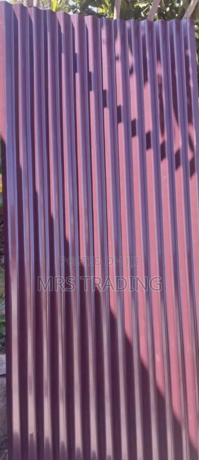 Colored Korkoro 32 Gej