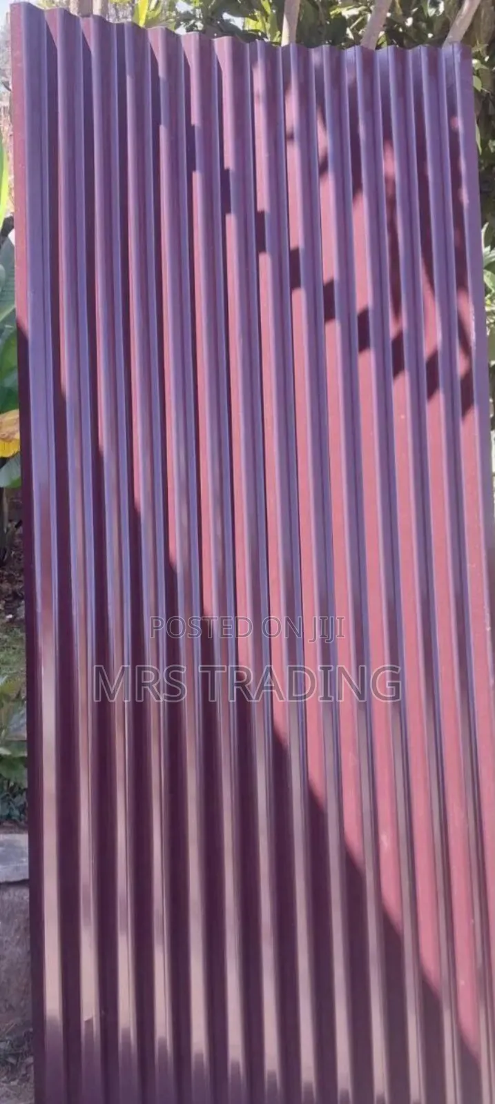 Colored Korkoro 32 Gej