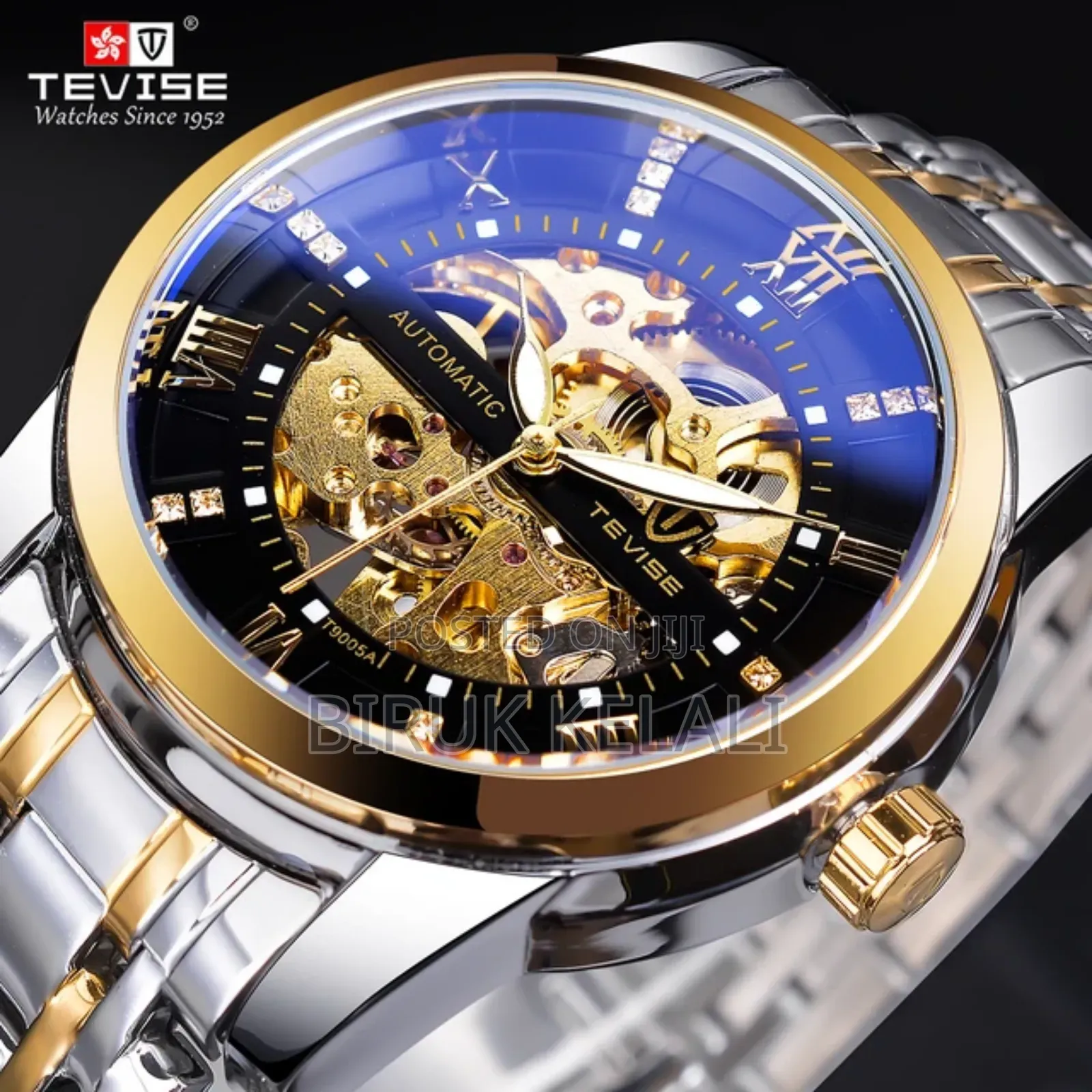 Tevise Full Automatic Mechanical Water Proof 2024 Watch