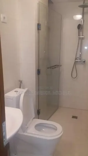 Furnished 3bdrm Apartment in Bole for rent