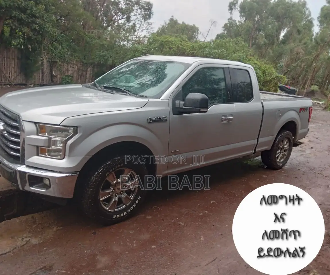 Ford F-150 2017 Silver