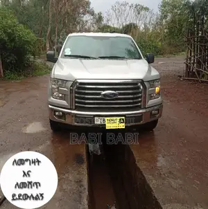 Ford F-150 2017 Silver