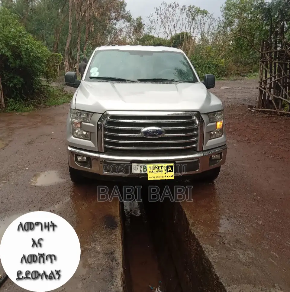 Ford F-150 2017 Silver