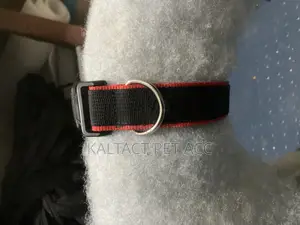 Dog Collars and Leashes