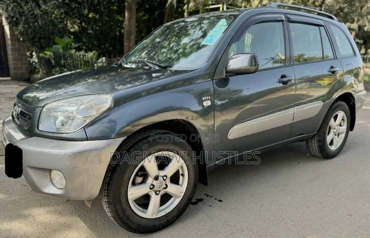 Toyota RAV4 1.8 2005 Gray