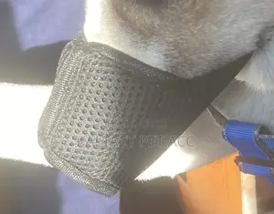 Meshed Heavy Duty Dog Muzzles Available