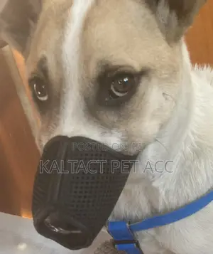 Meshed Heavy Duty Dog Muzzles Available