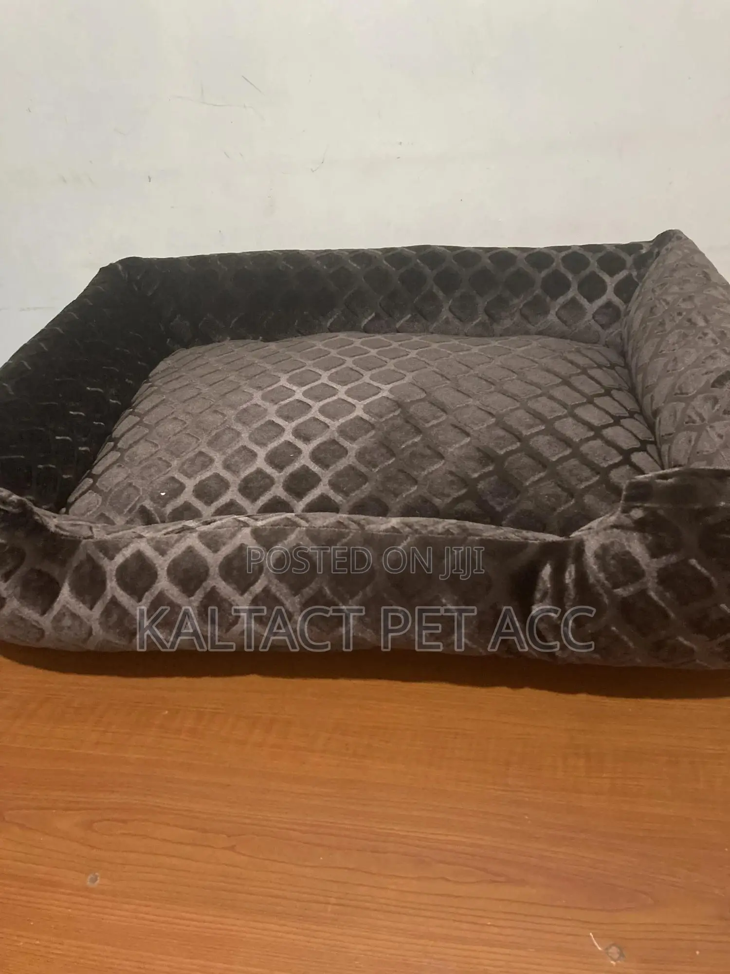 Dog Bed Available