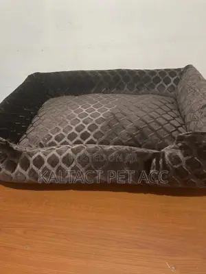Dog Bed Available
