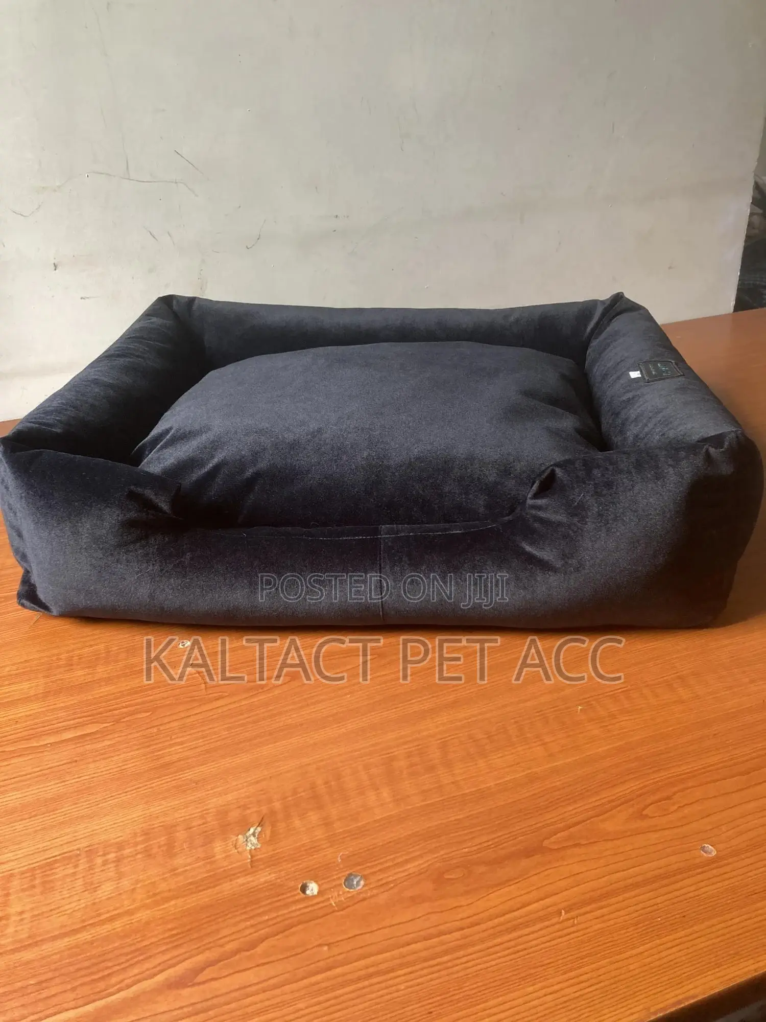 Dog Bed Available