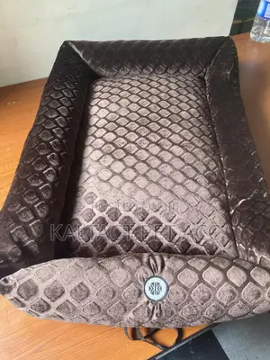 Dog Bed Available