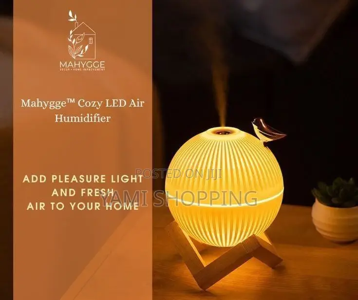 Lark Air Humidifier With LED Light