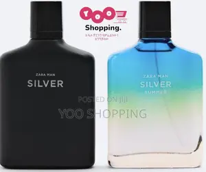 Photo - ZARA Man Silver and Silver Summer |