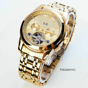 Tevise Full Automatic Luxury Mechanical Watch