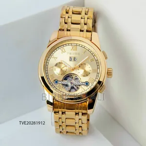 Tevise Full Automatic Luxury Mechanical Watch