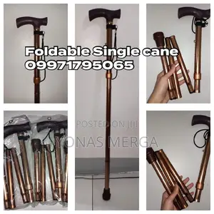 Photo - Walking Stick/Walking Cane the ELDERLY OR INJURED WALKER