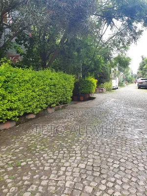 የሚሸጥ ቦታ ጎሮ መስጂድ