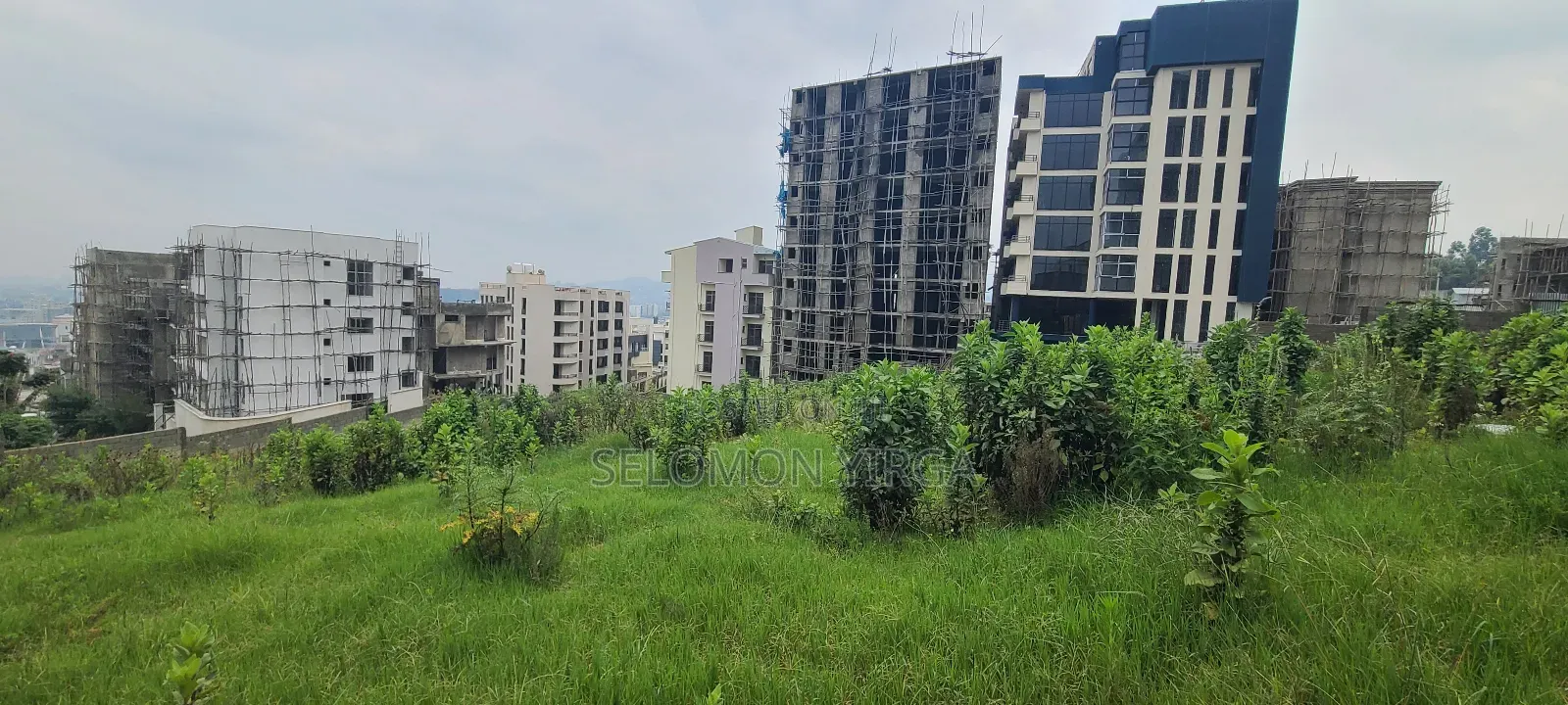 There Is a School for Rent, CMC