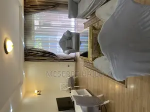 Furnished 3bdrm Apartment in Meskle Flower, Bole for rent