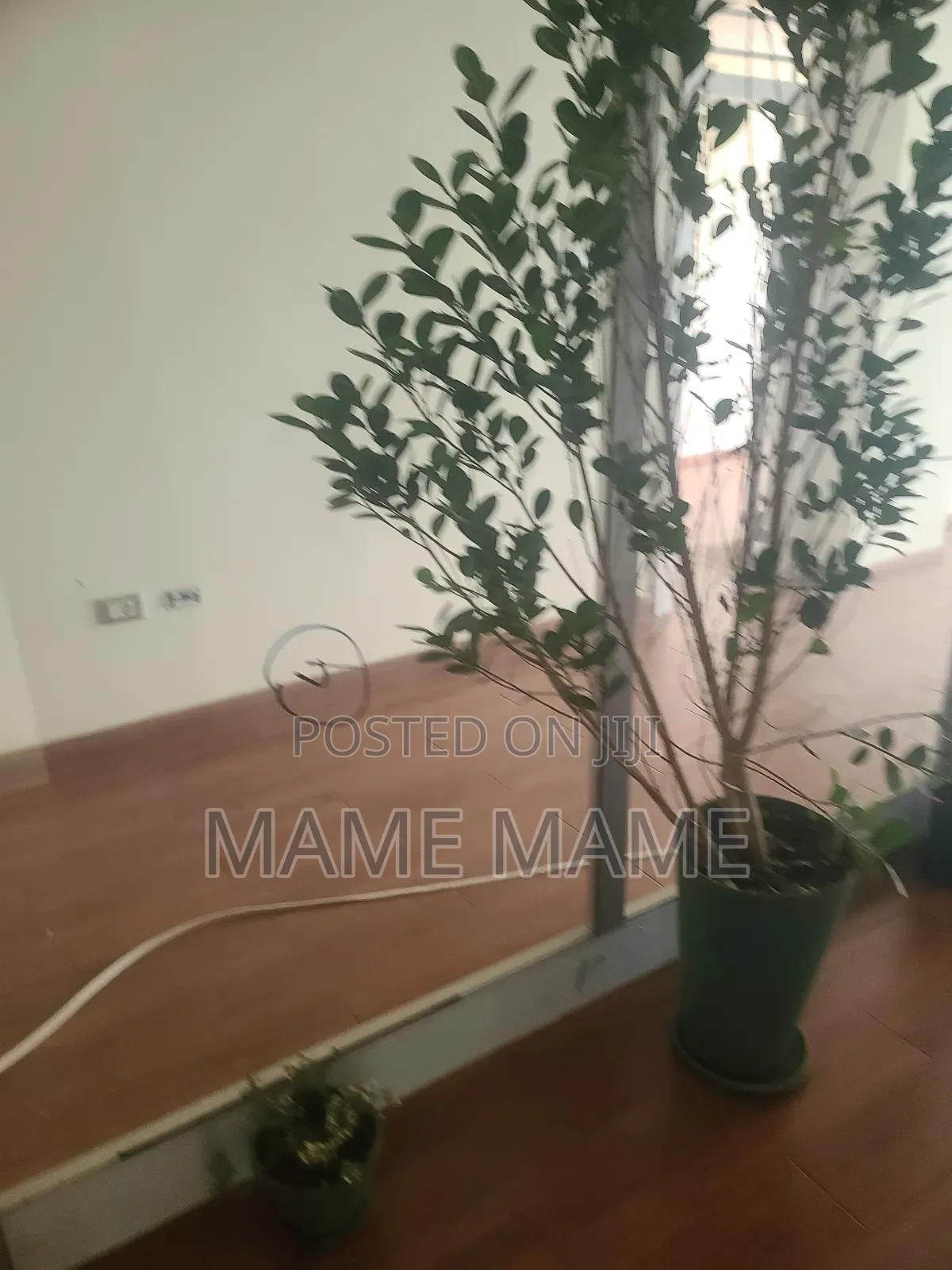 Office Space for Rent