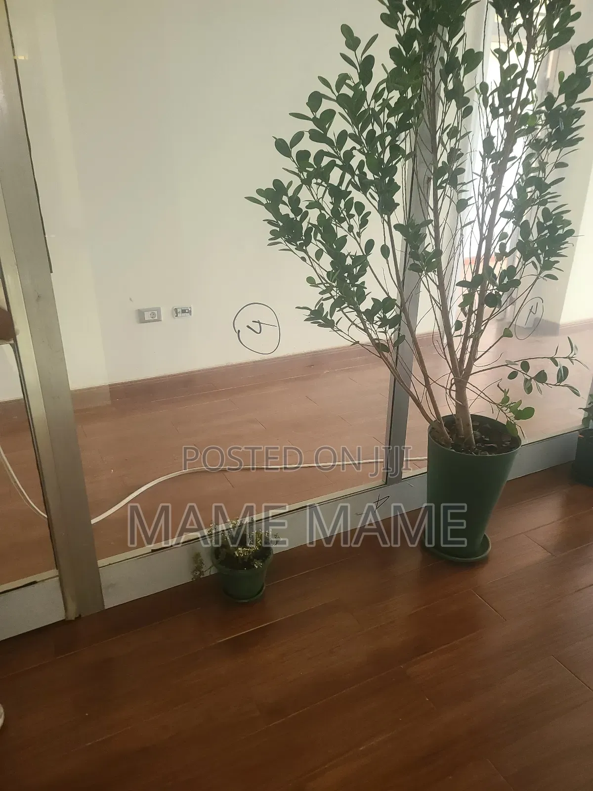 Office Space for Rent