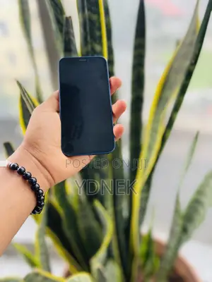 Apple iPhone 12 mini 128 GB Blue