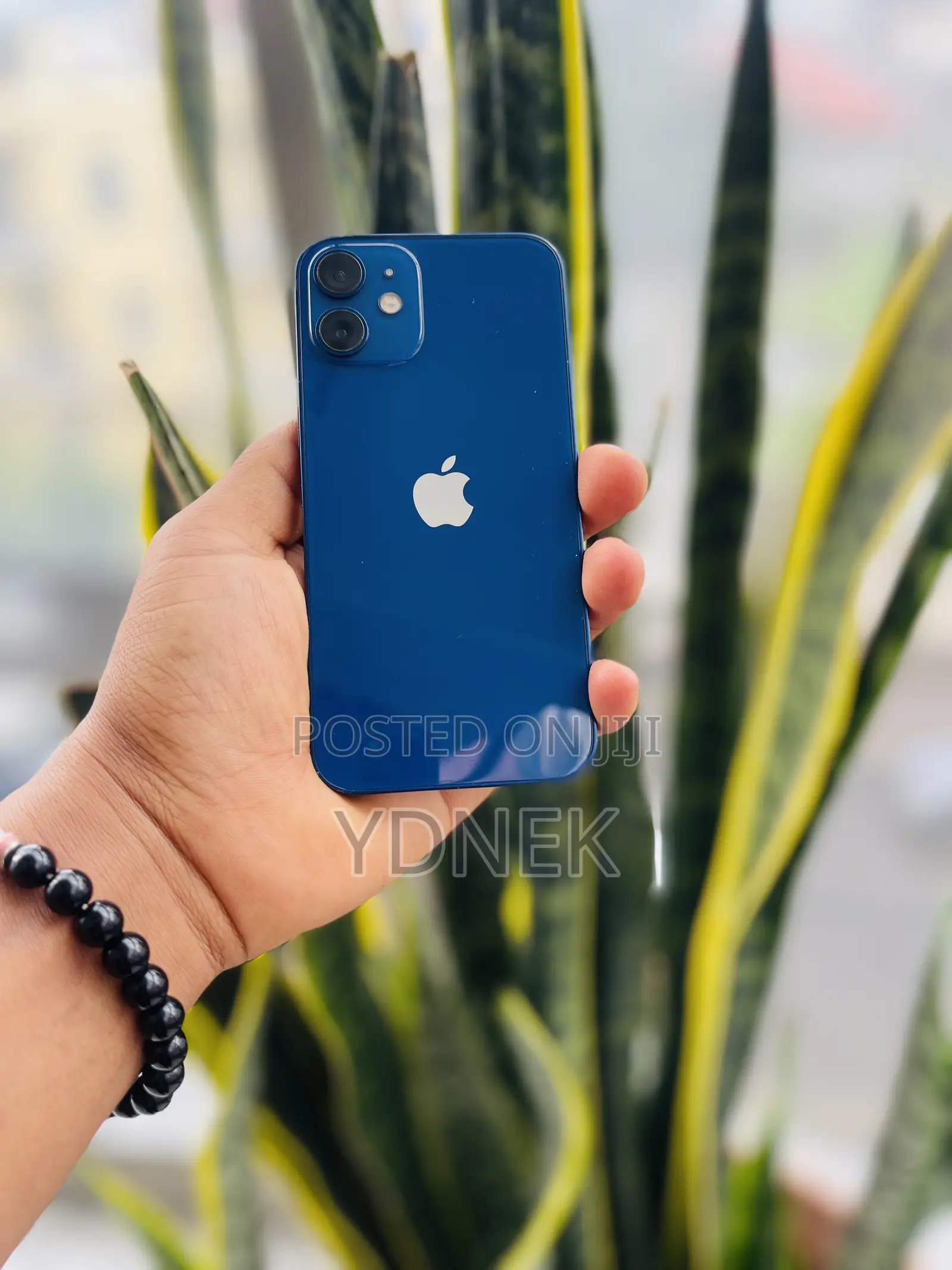 Apple iPhone 12 mini 128 GB Blue