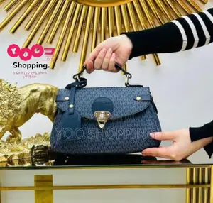 Michael Kors and Louis Vuitton Womens Bag