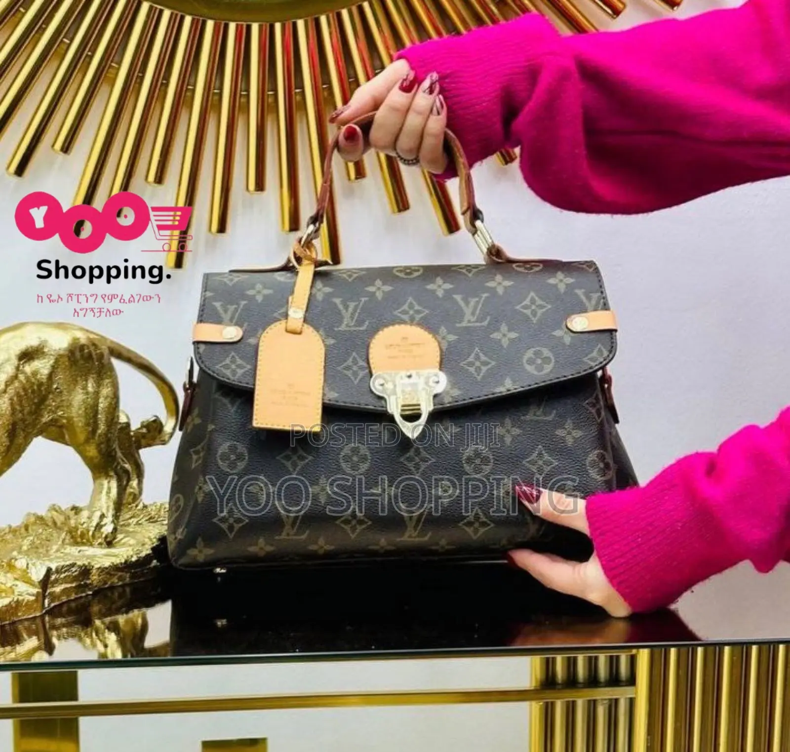 Michael Kors and Louis Vuitton Womens Bag