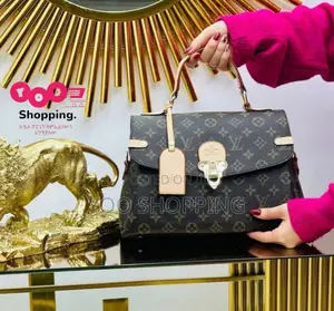 Michael Kors and Louis Vuitton Womens Bag