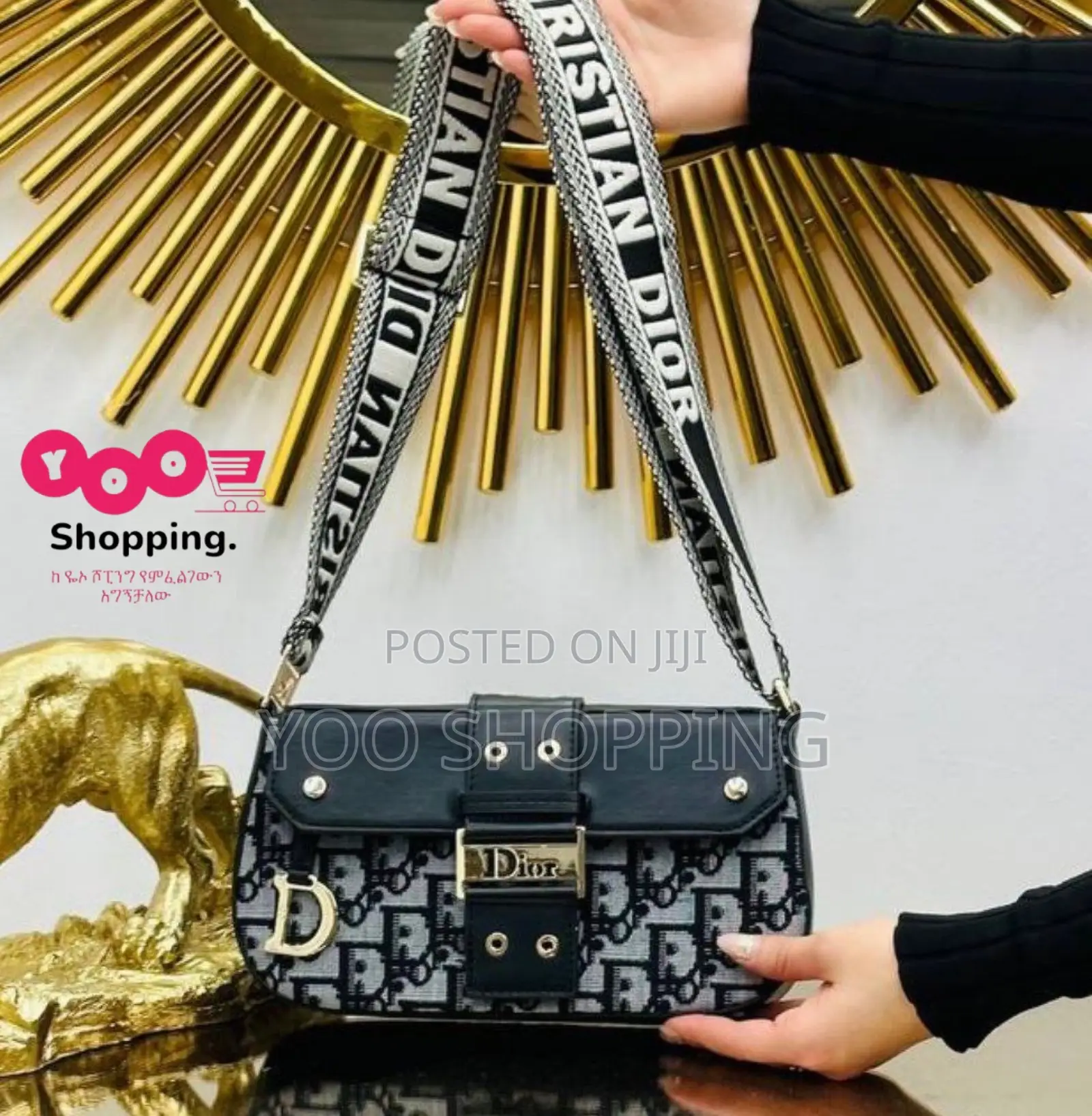 CHRISTIAN Dior Womens Bag