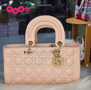 CHRISTIAN Dior Womens Bag