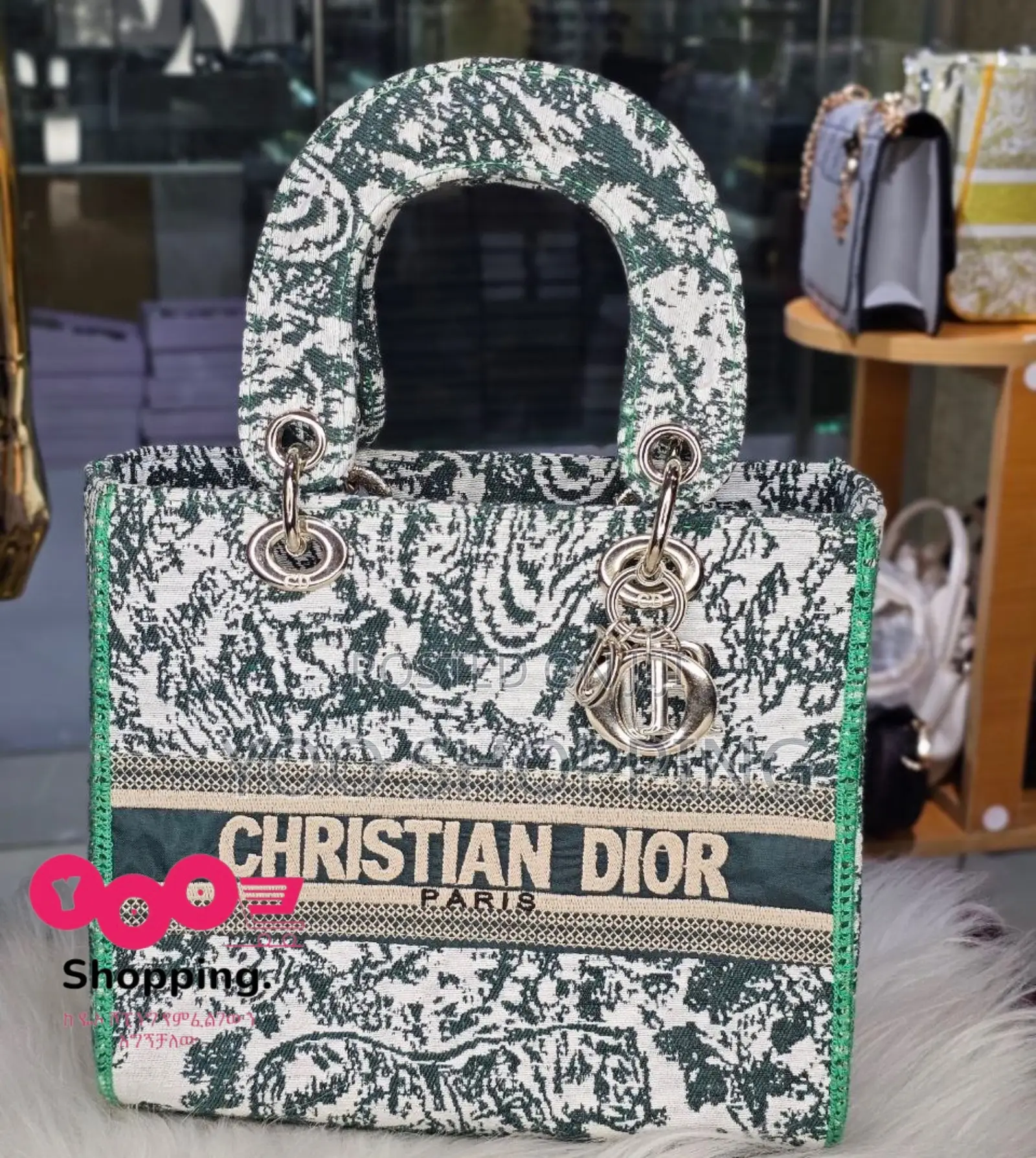 CHRISTIAN Dior Womens Bag