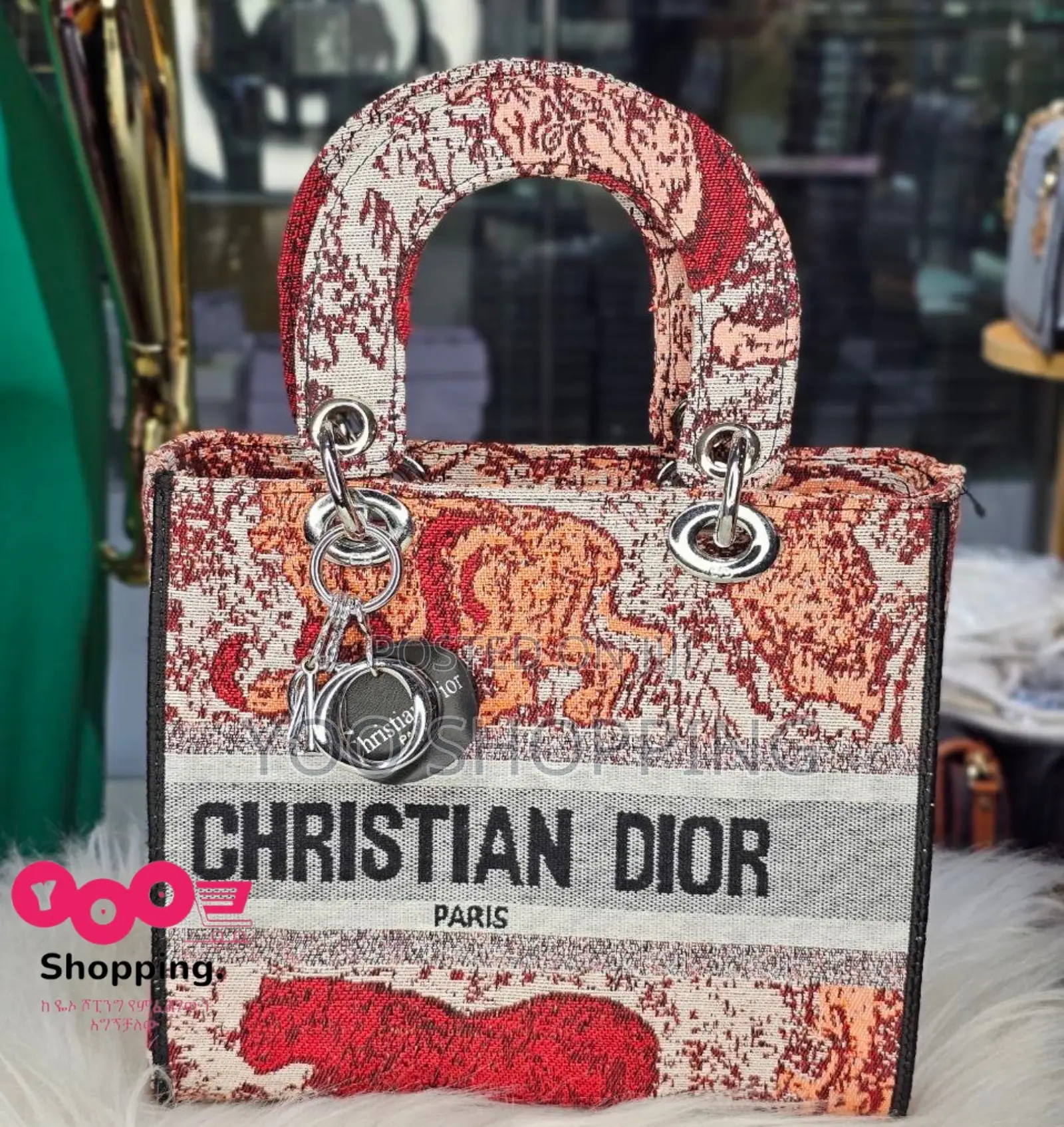 CHRISTIAN Dior Womens Bag