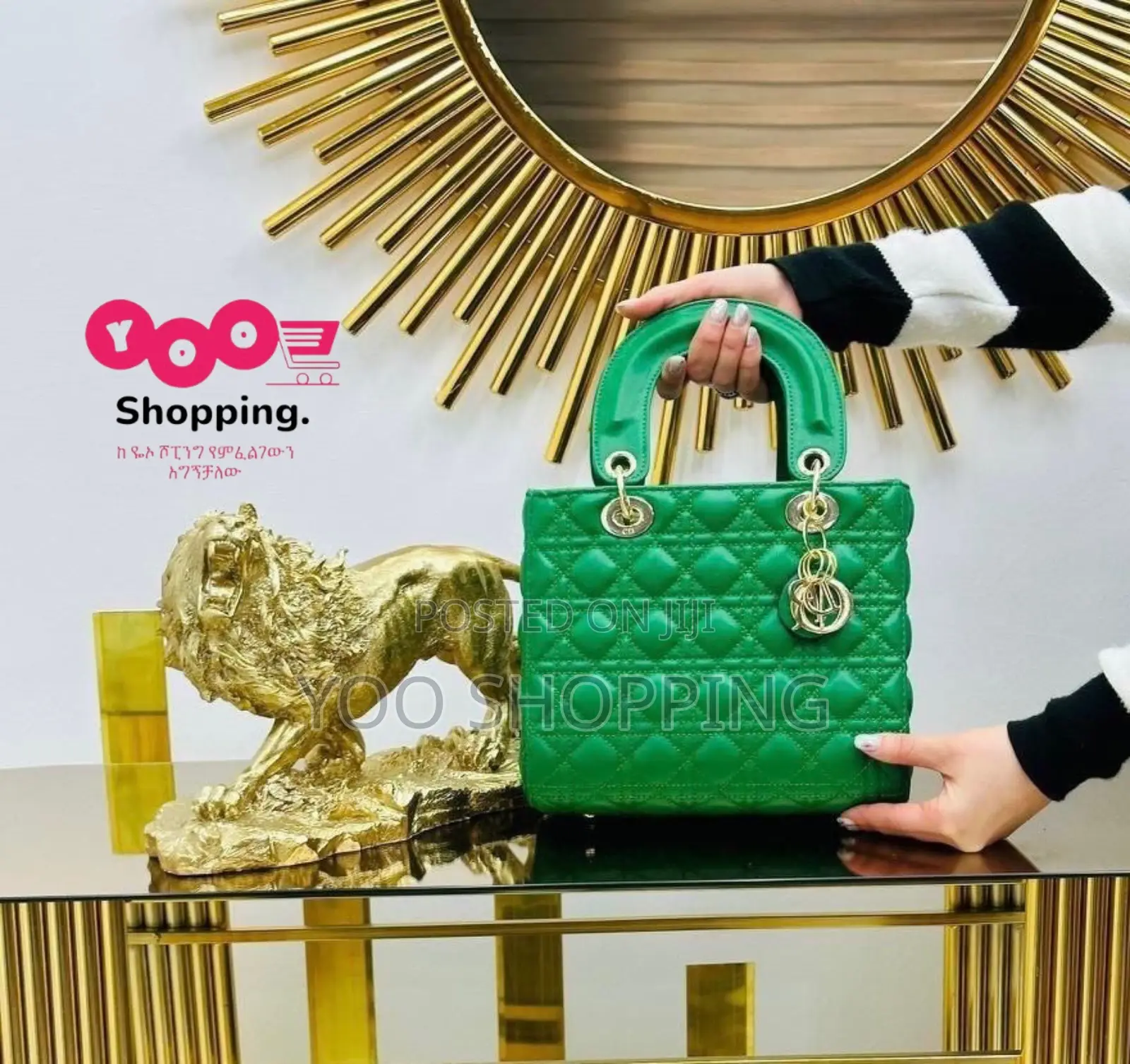 CHRISTIAN Dior Womens Bag