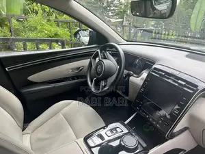 Hyundai Tucson 2023 Gray