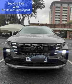 Photo - Hyundai Tucson N Line 2022 Gray